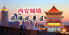 尻屄视频黄色大全中国陕西-西安城墙旅游风景区